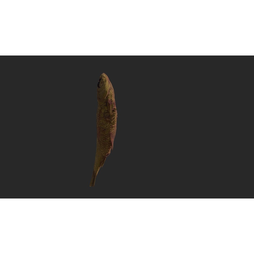 Dried Fish 3D Model – Low Poly Game Asset, PBR Textures, FBX - View 4