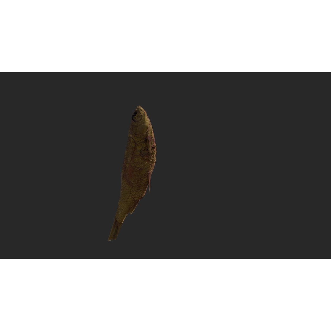 Dried Fish 3D Model – Low Poly Game Asset, PBR Textures, FBX - View 5