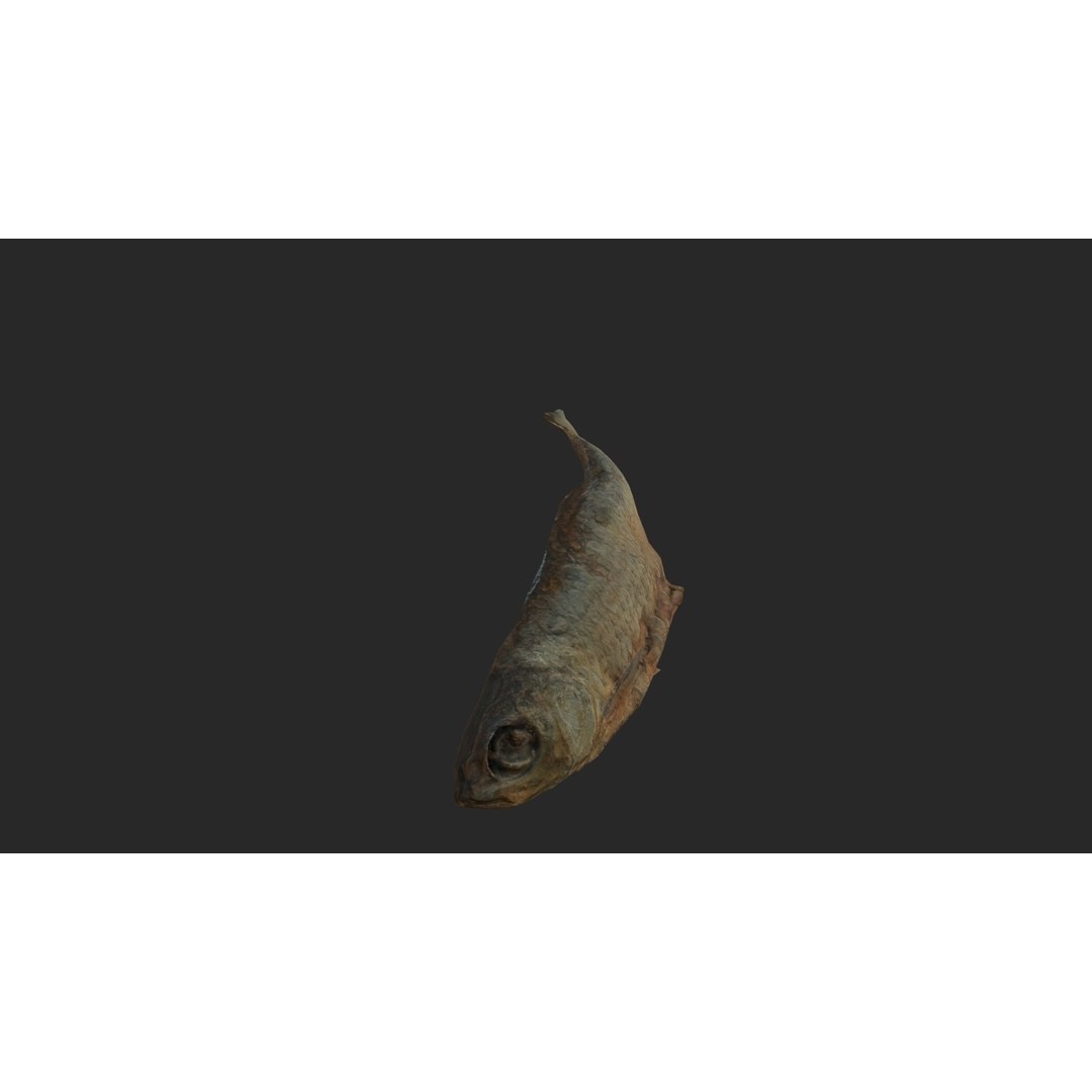 Dried Fish 3D Model – Low Poly Game Asset, PBR Textures, FBX - View 6