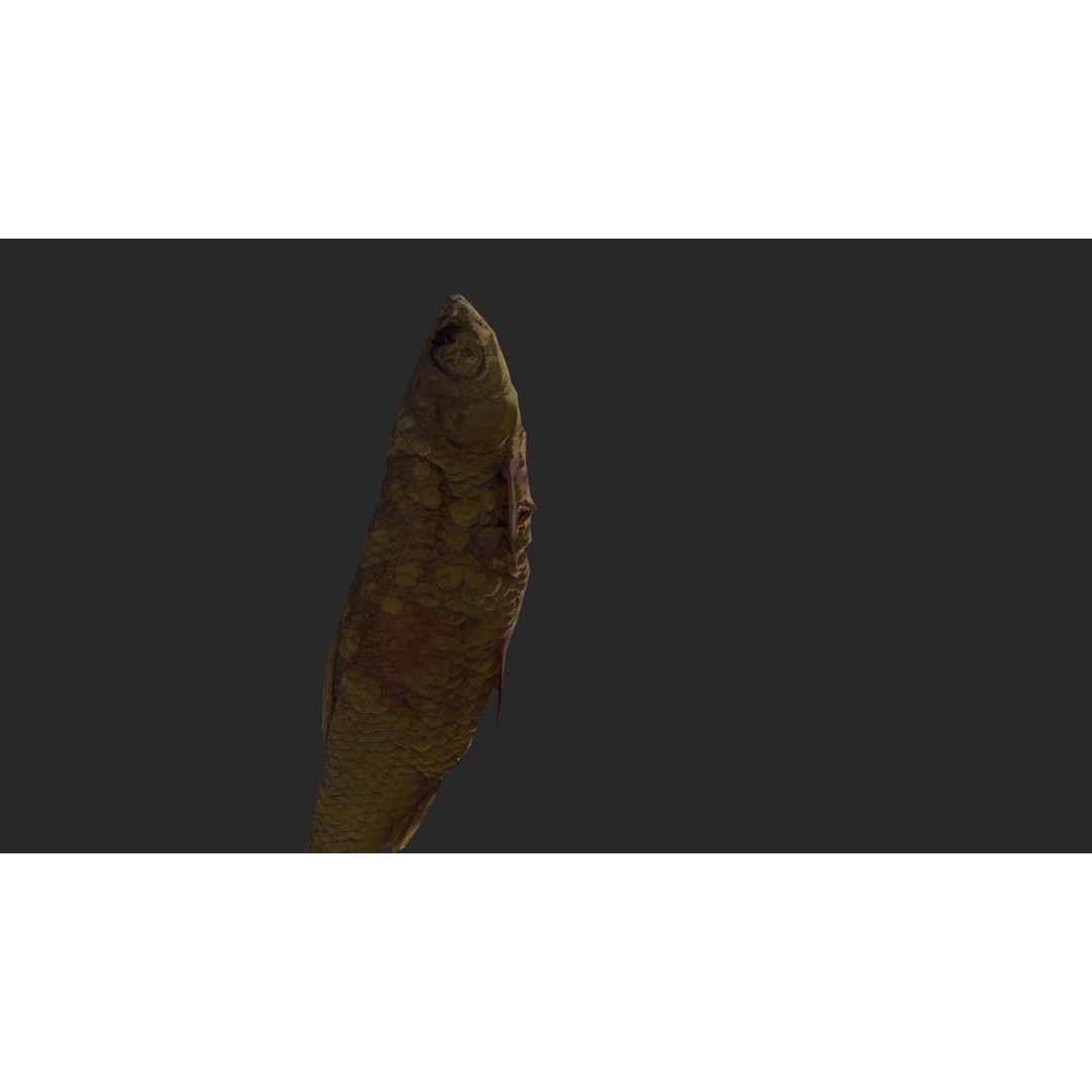 Dried Fish 3D Model – Low Poly Game Asset, PBR Textures, FBX - View 8