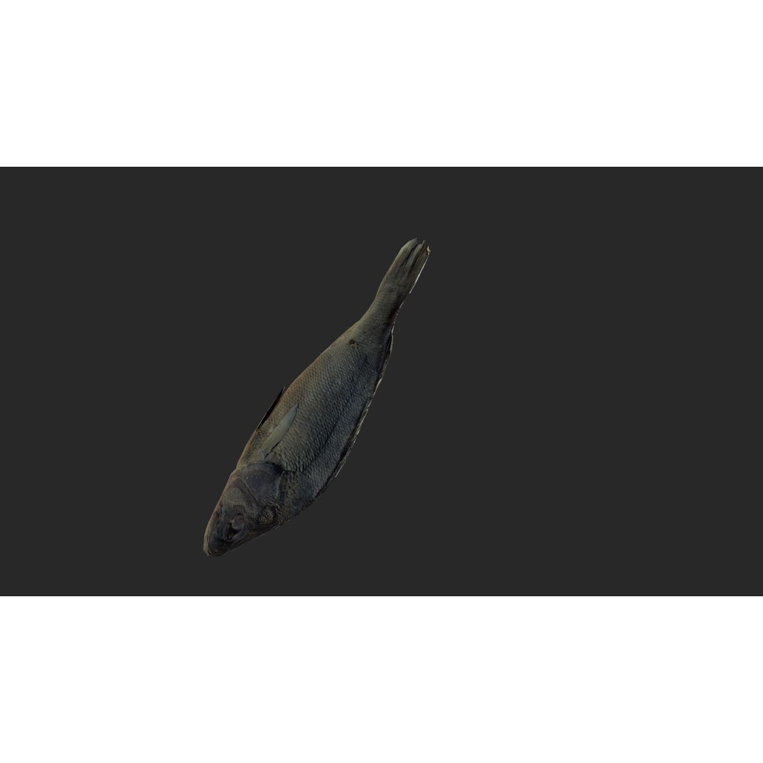 Dried Fish 3D Model – Low Poly Game Asset, PBR Textures, FBX - View 9