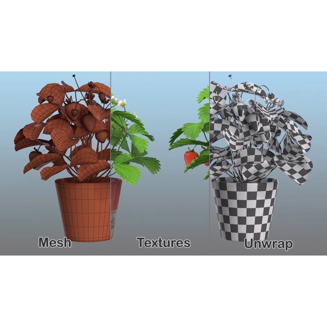 Strawberry Plant 3D Model – Realistic Pot Plant with PBR Textures - View 18