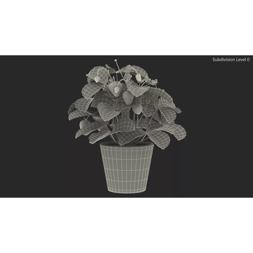 Strawberry Plant 3D Model – Realistic Pot Plant with PBR Textures - View 19