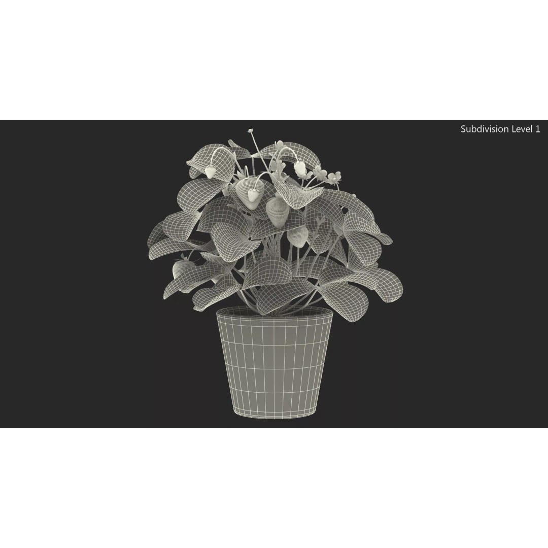 Strawberry Plant 3D Model – Realistic Pot Plant with PBR Textures - View 20