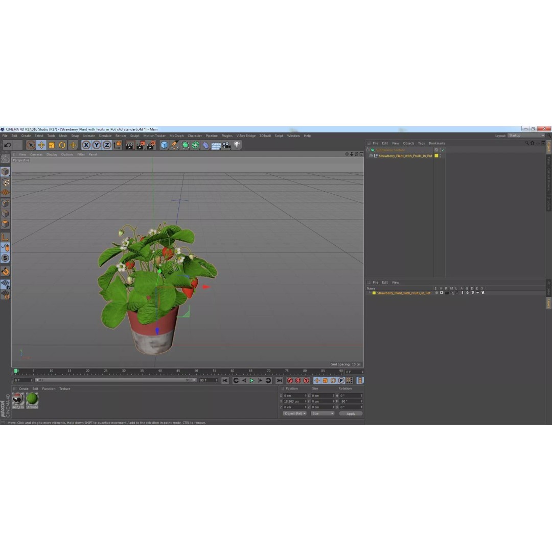Strawberry Plant 3D Model – Realistic Pot Plant with PBR Textures - View 25