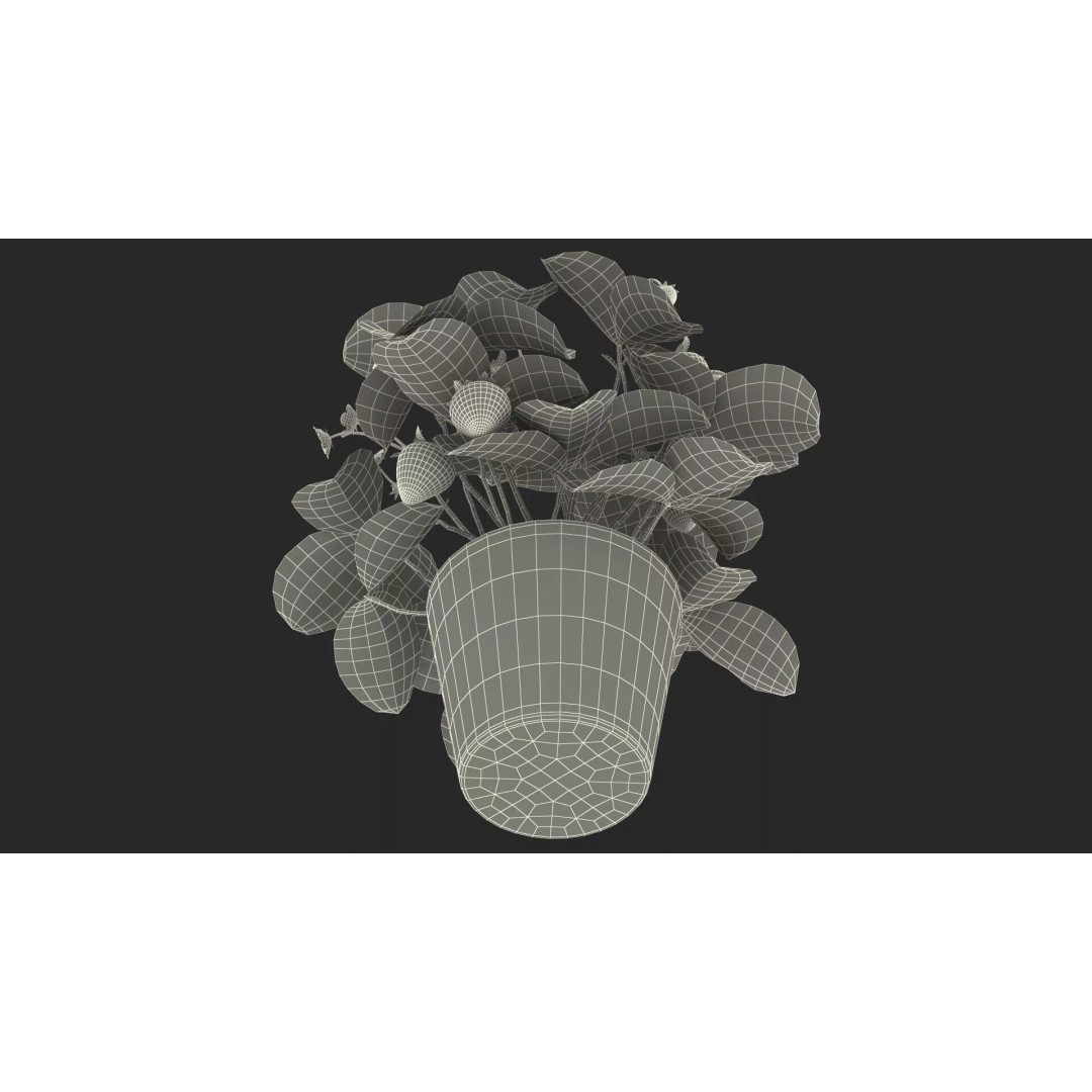 Strawberry Plant 3D Model – Realistic Pot Plant with PBR Textures - View 29