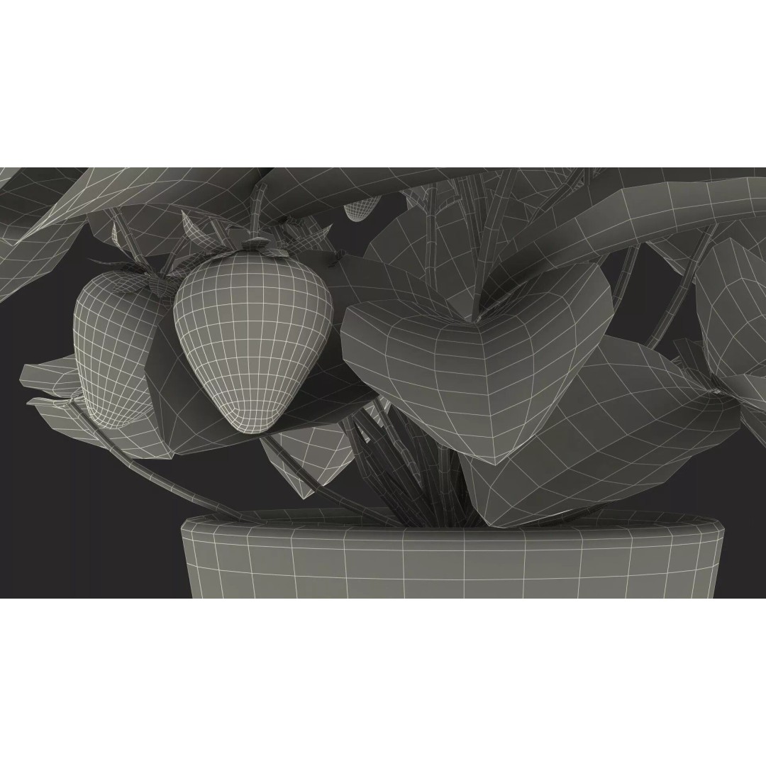 Strawberry Plant 3D Model – Realistic Pot Plant with PBR Textures - View 30