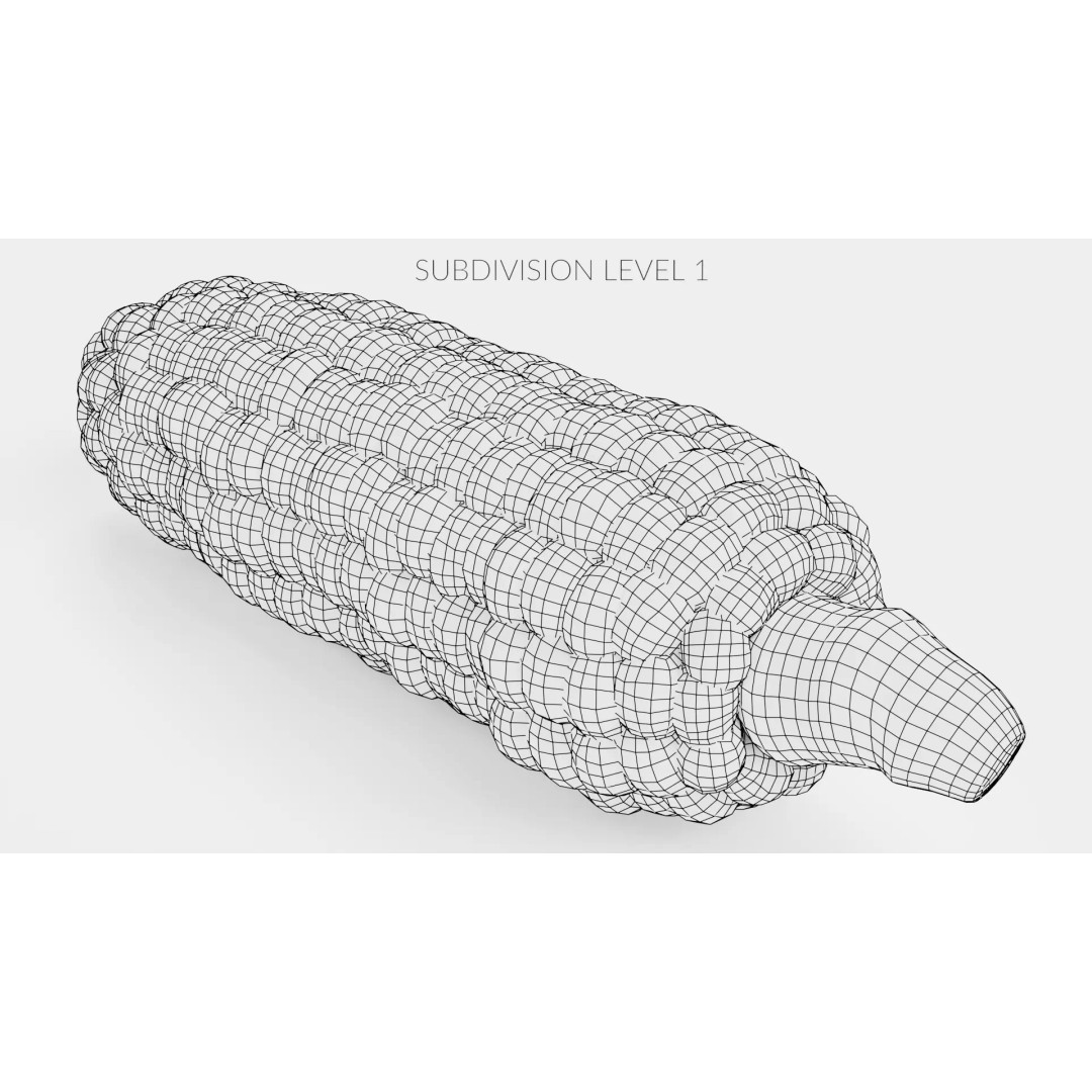 Hopi Pink Corn 3D Model – Realistic Maize Ear with PBR Textures, Blender