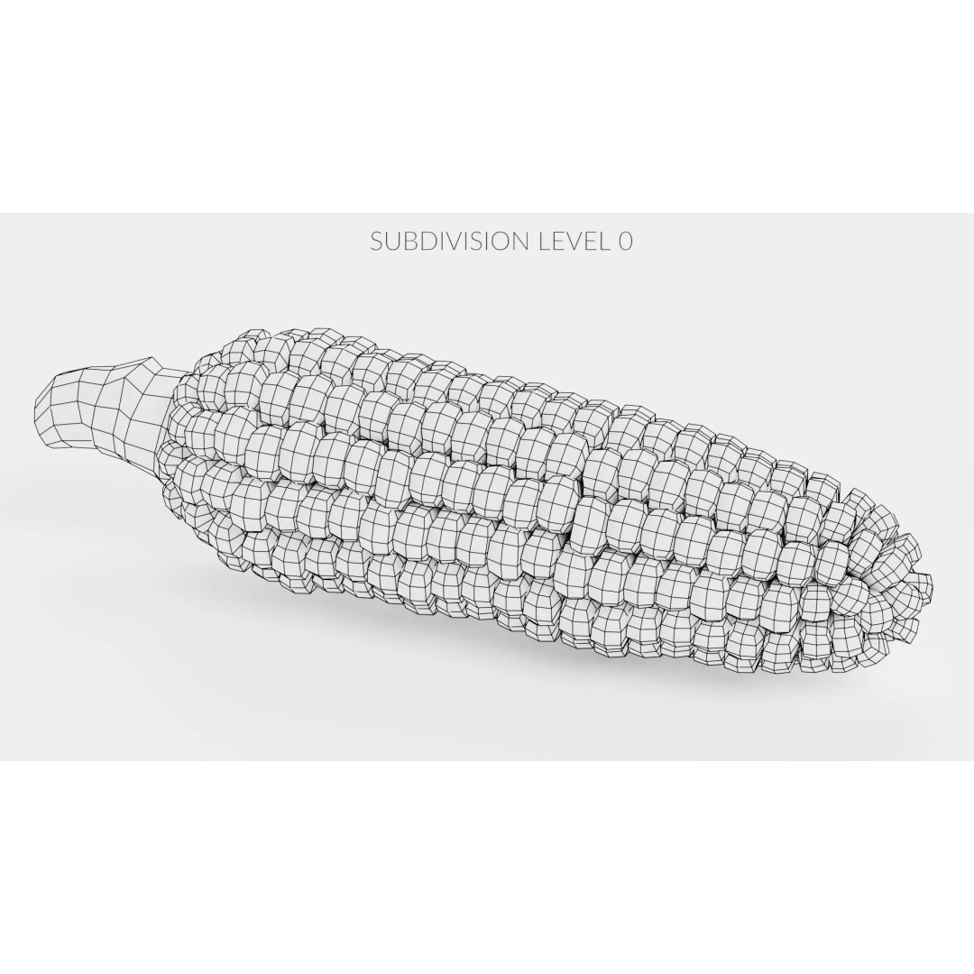 Hopi Pink Corn 3D Model – Realistic Maize Ear with PBR Textures, Blender - View 10