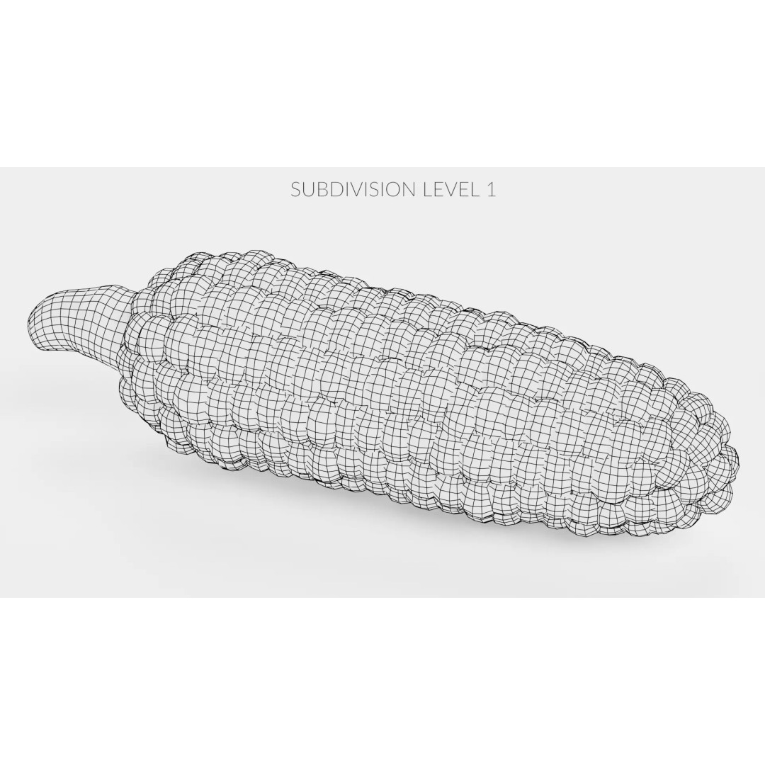 Hopi Pink Corn 3D Model – Realistic Maize Ear with PBR Textures, Blender - View 11