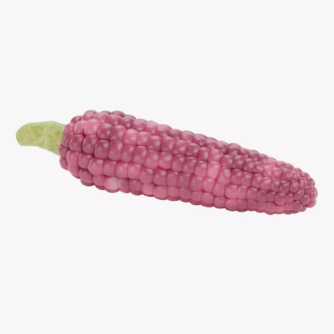 Hopi Pink Corn 3D Model – Realistic Maize Ear with PBR Textures, Blender - View 2