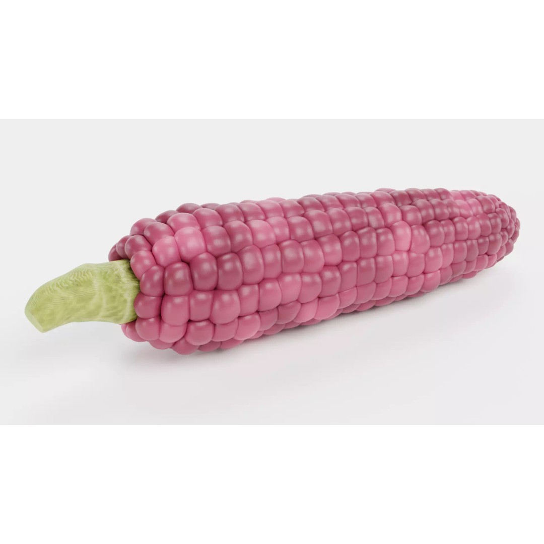 Hopi Pink Corn 3D Model – Realistic Maize Ear with PBR Textures, Blender - View 3