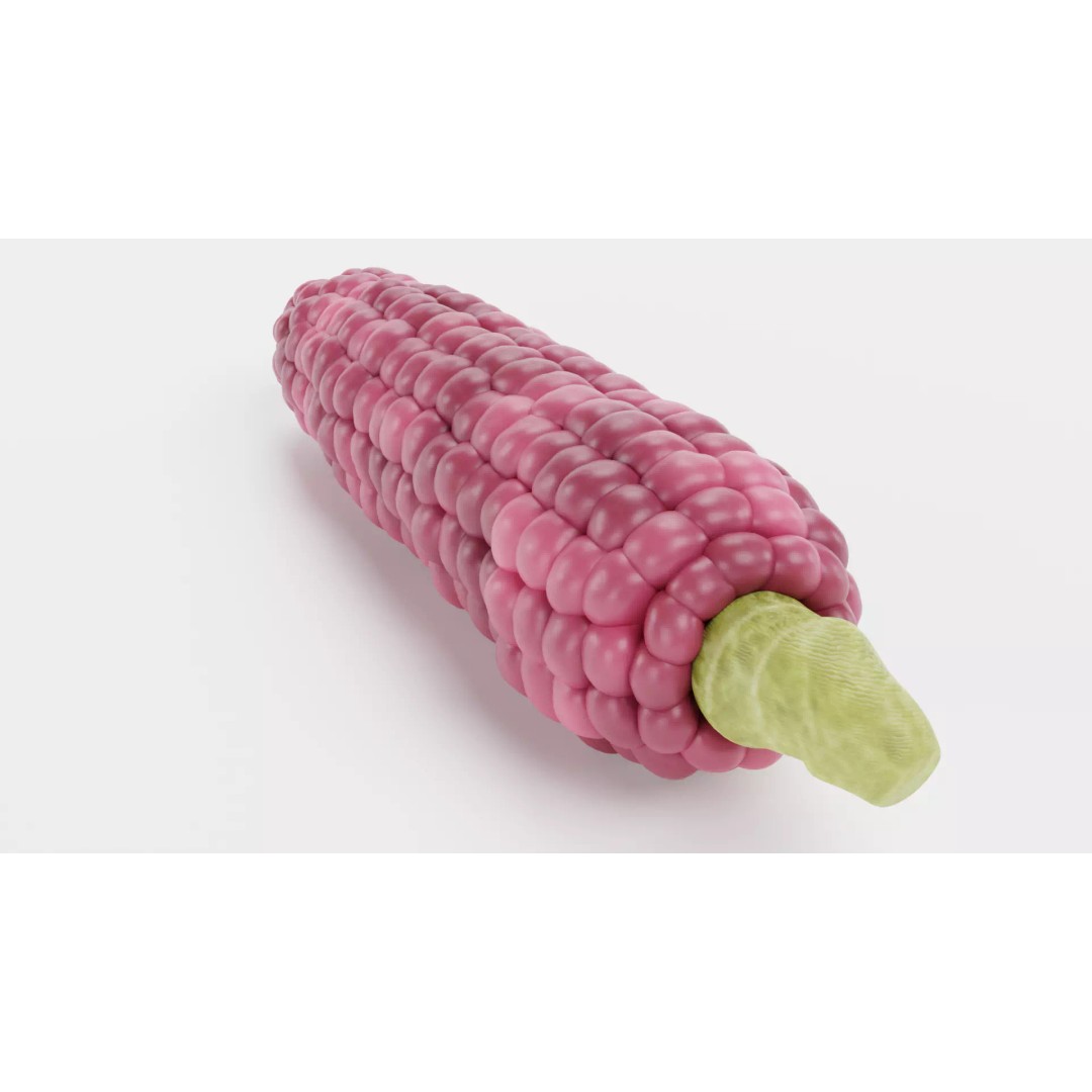 Hopi Pink Corn 3D Model – Realistic Maize Ear with PBR Textures, Blender - View 4
