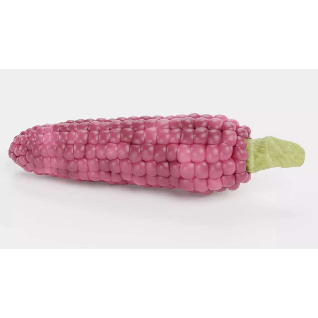 Hopi Pink Corn 3D Model – Realistic Maize Ear with PBR Textures, Blender - View 5