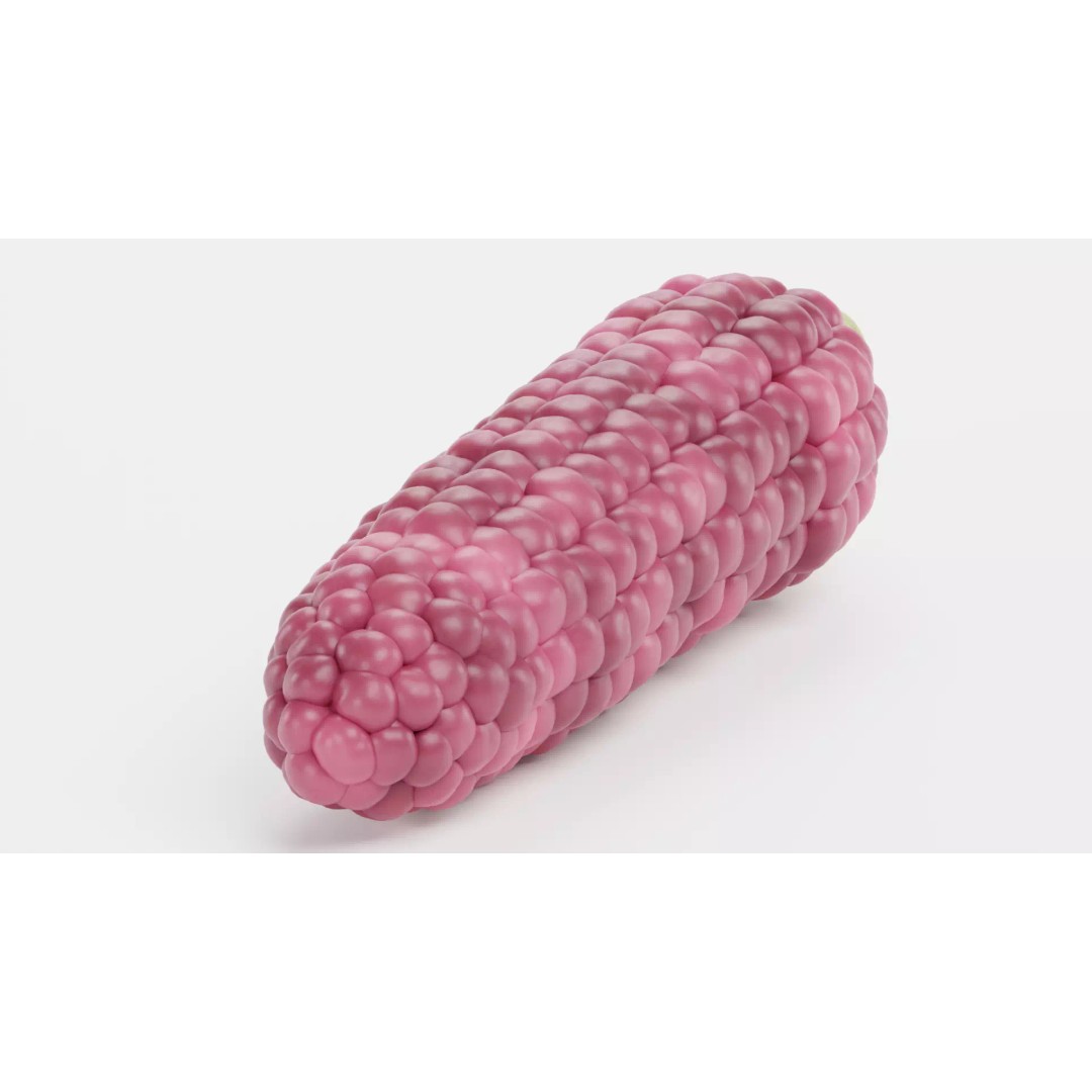 Hopi Pink Corn 3D Model – Realistic Maize Ear with PBR Textures, Blender - View 6