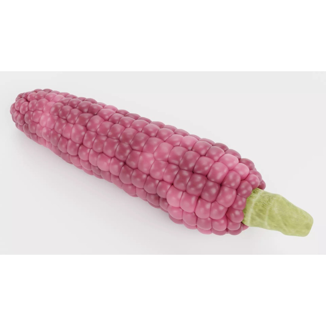 Hopi Pink Corn 3D Model – Realistic Maize Ear with PBR Textures, Blender - View 7