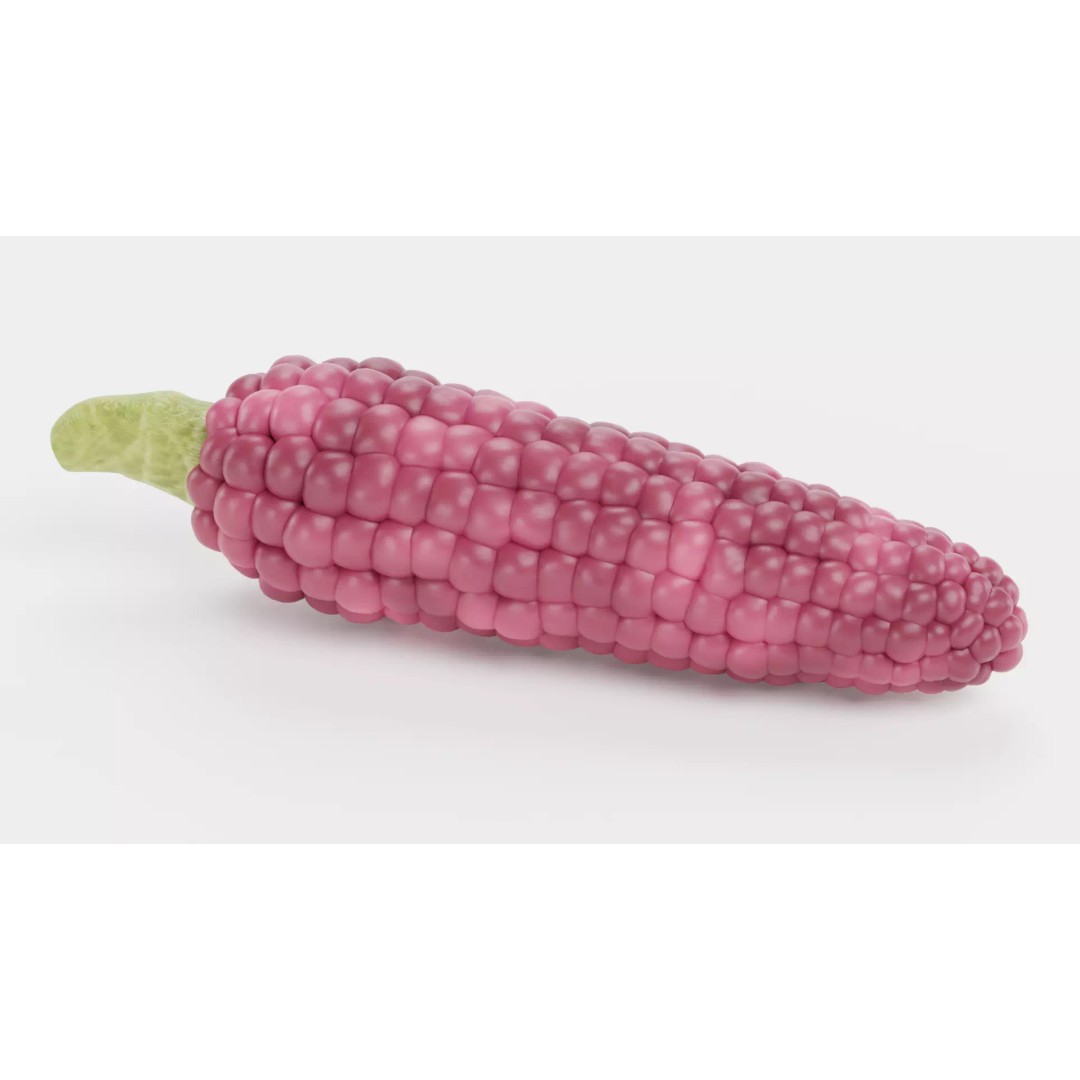 Hopi Pink Corn 3D Model – Realistic Maize Ear with PBR Textures, Blender - View 8