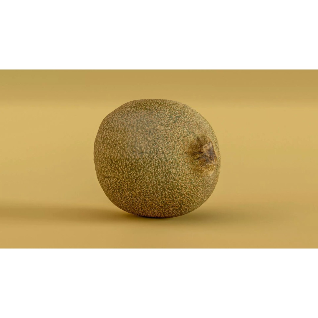 Kiwi Fruit 3D Model – Low Poly Game Ready Asset, FBX, OBJ - View 10