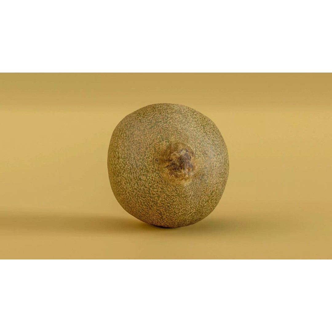 Kiwi Fruit 3D Model – Low Poly Game Ready Asset, FBX, OBJ - View 11