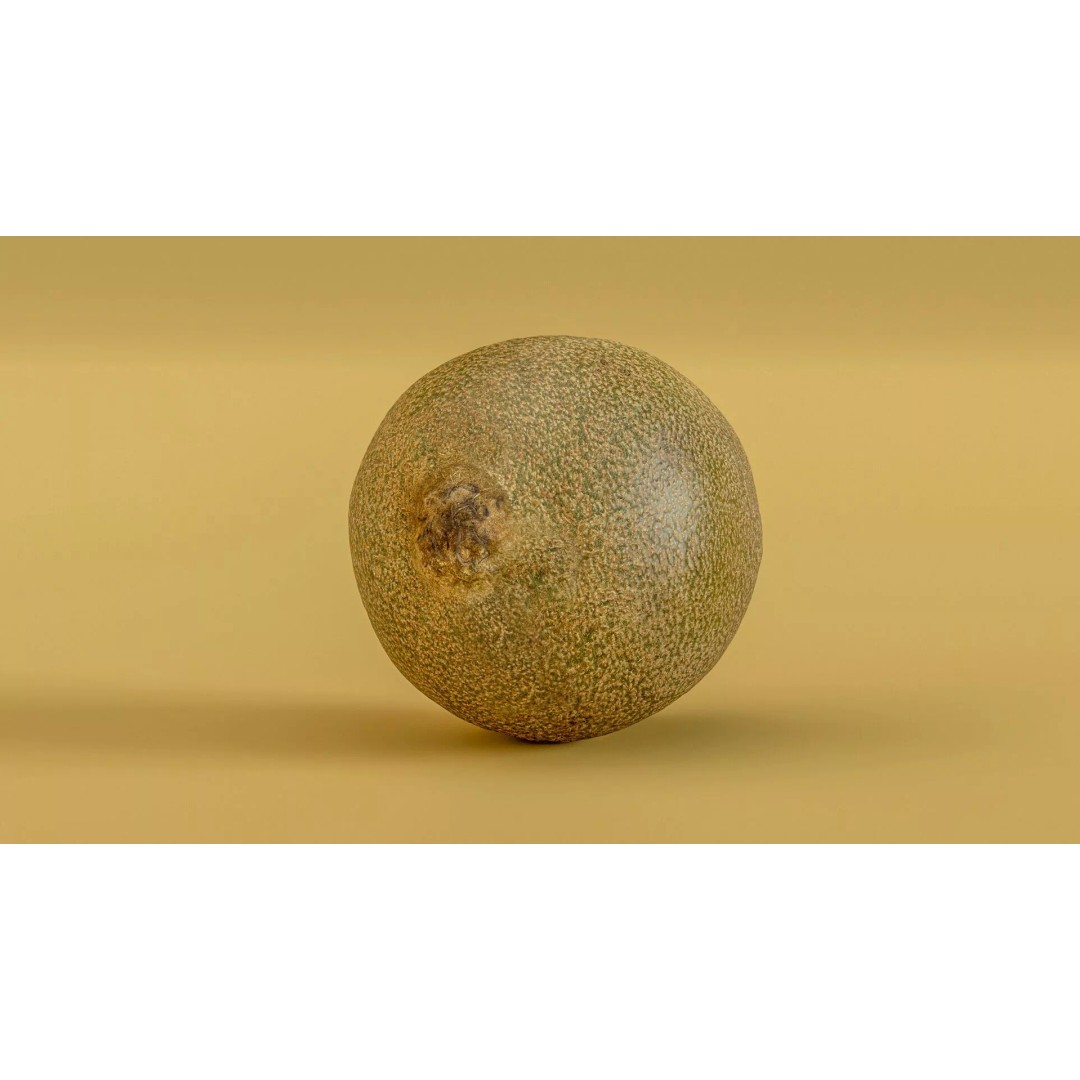 Kiwi Fruit 3D Model – Low Poly Game Ready Asset, FBX, OBJ - View 12