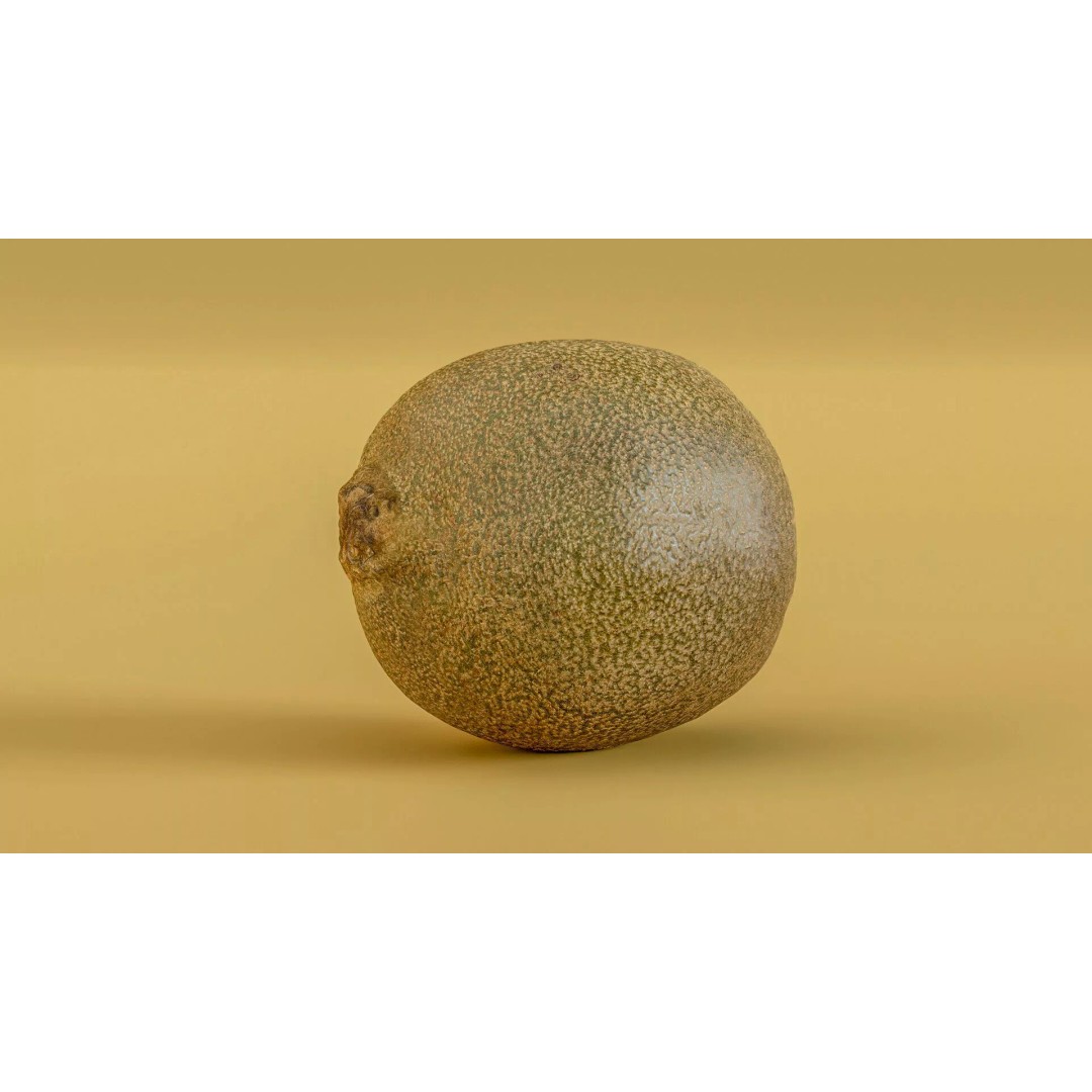 Kiwi Fruit 3D Model – Low Poly Game Ready Asset, FBX, OBJ - View 13