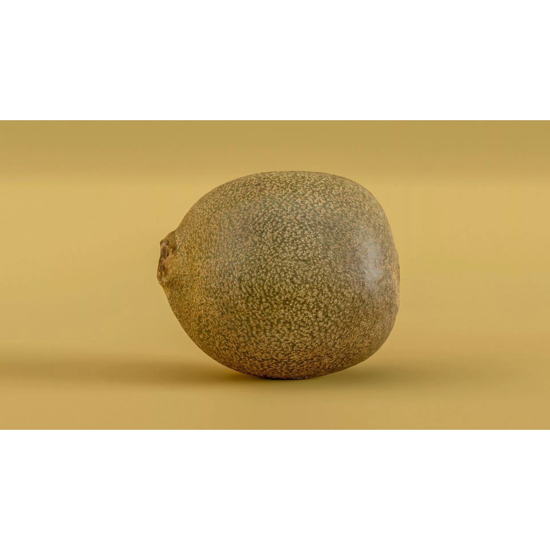 Kiwi Fruit 3D Model – Low Poly Game Ready Asset, FBX, OBJ - View 14