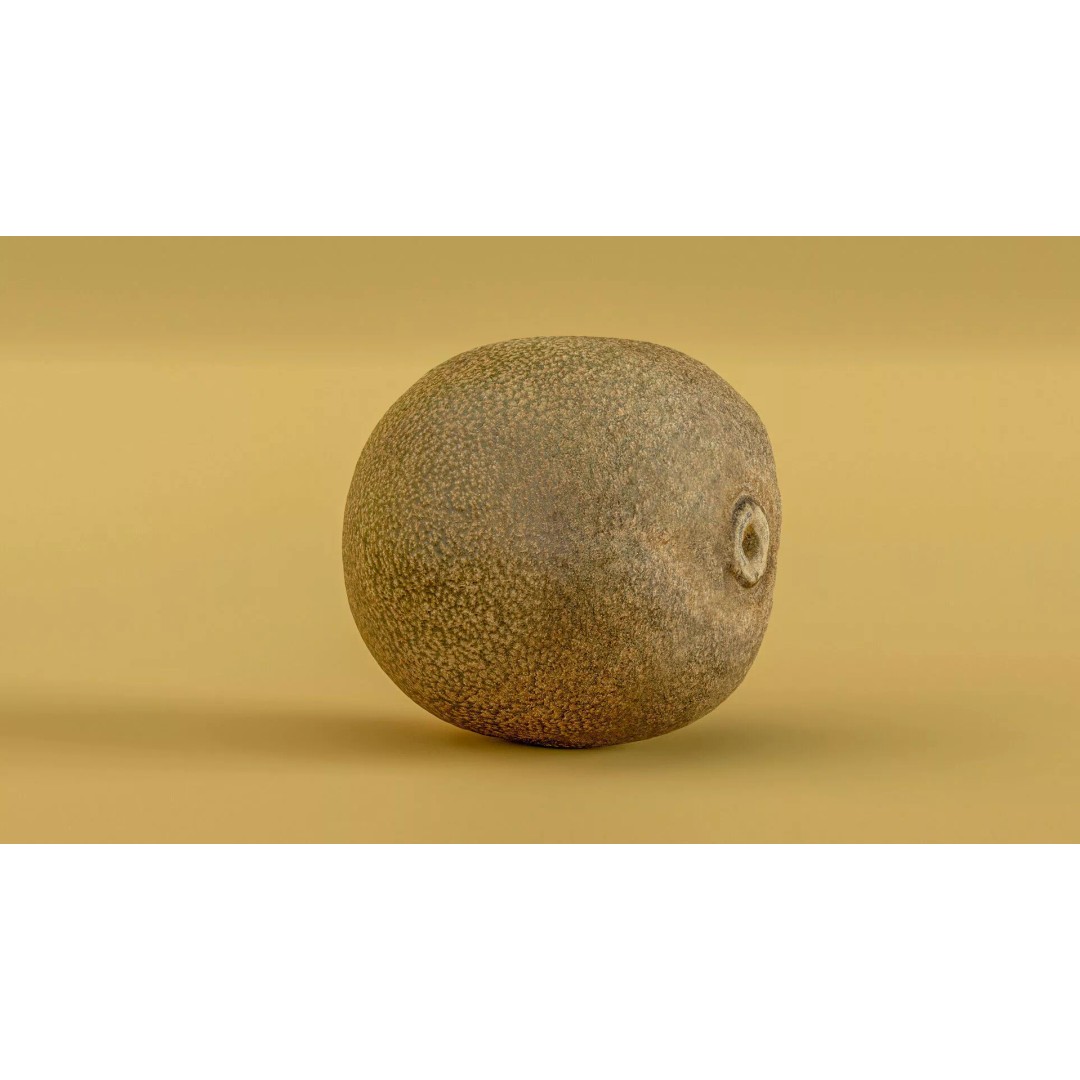 Kiwi Fruit 3D Model – Low Poly Game Ready Asset, FBX, OBJ - View 15