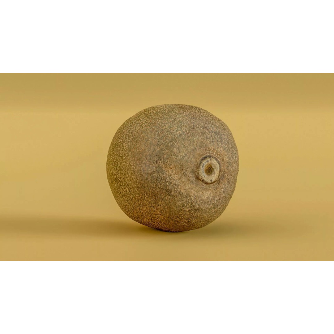 Kiwi Fruit 3D Model – Low Poly Game Ready Asset, FBX, OBJ - View 16