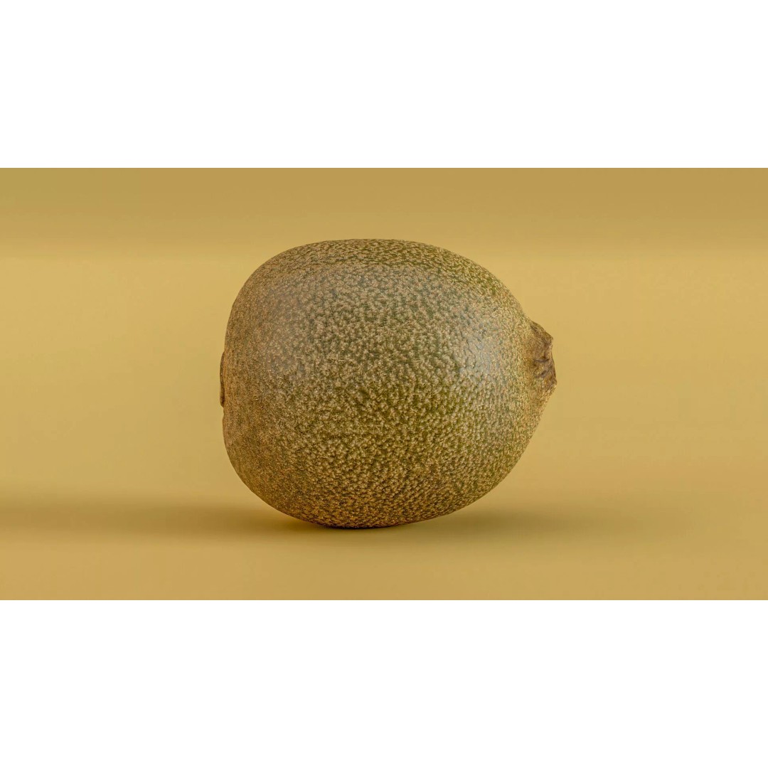 Kiwi Fruit 3D Model – Low Poly Game Ready Asset, FBX, OBJ - View 2