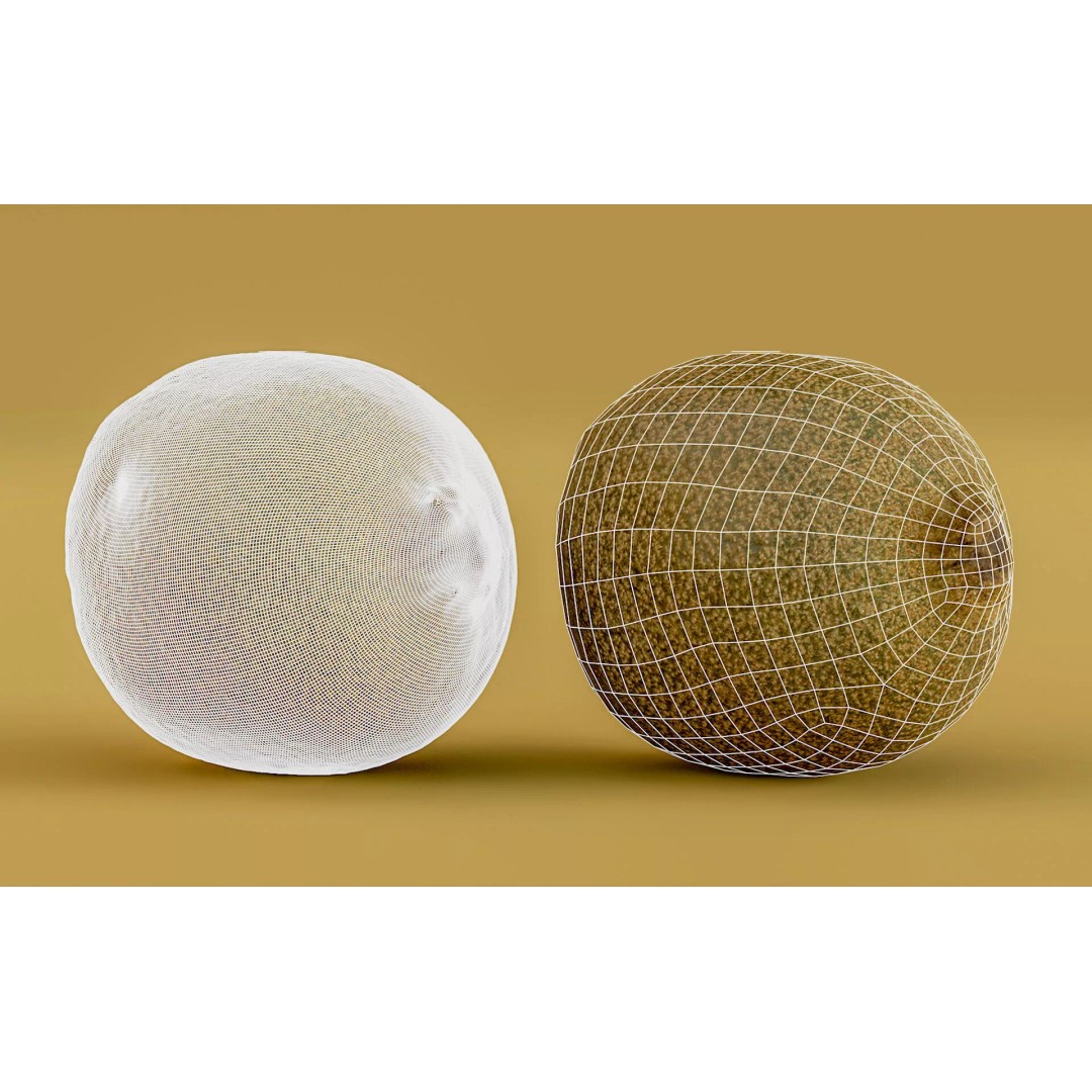 Kiwi Fruit 3D Model – Low Poly Game Ready Asset, FBX, OBJ - View 3