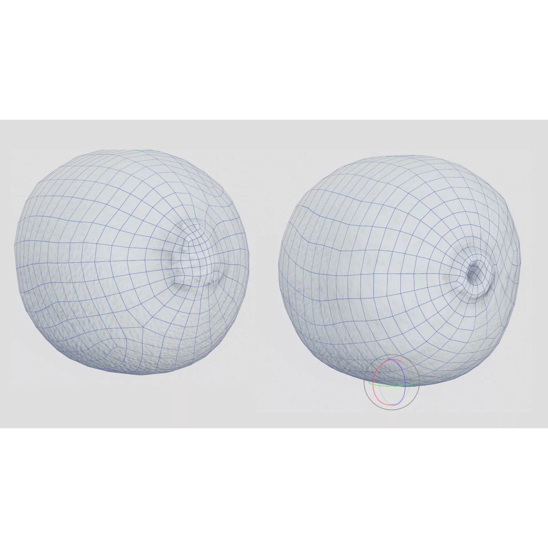 Kiwi Fruit 3D Model – Low Poly Game Ready Asset, FBX, OBJ - View 8