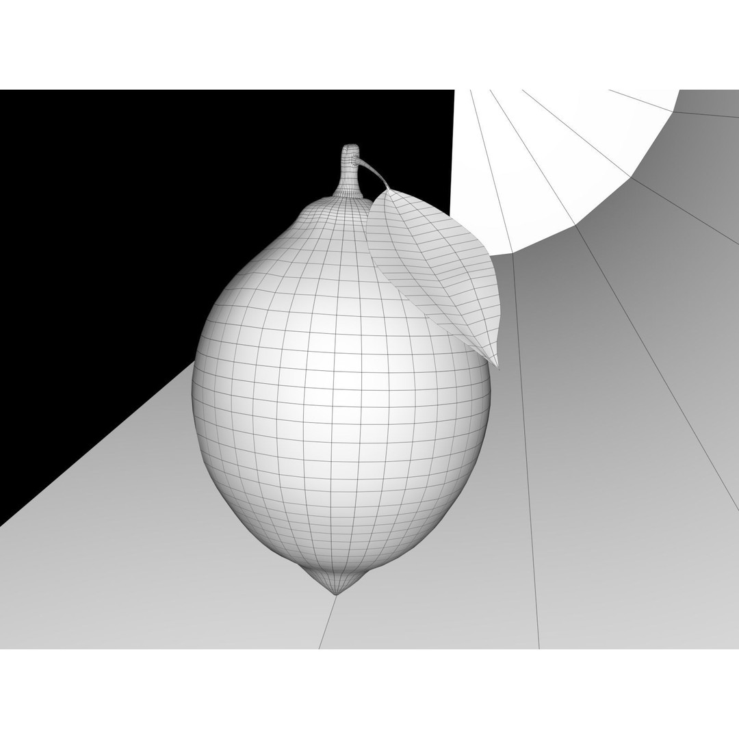 Lemon 3D Model – Realistic PBR Textures, FBX, OBJ, Blender - View 11