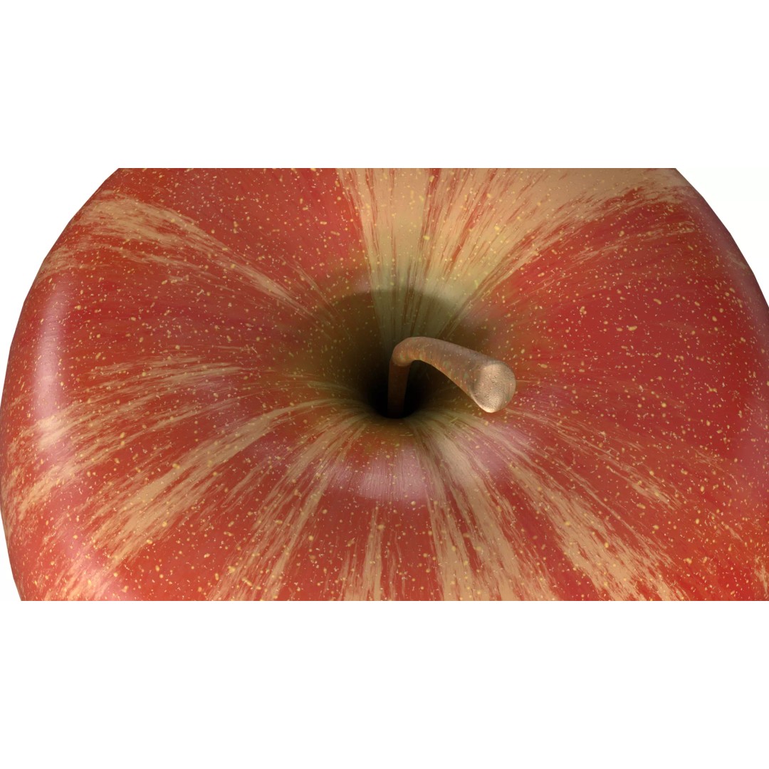 Apple 3D Model – Low Poly PBR Fruit Asset, FBX, OBJ - View 9