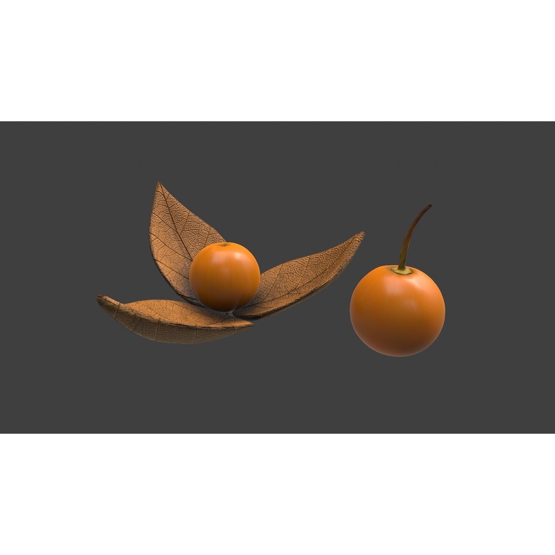 Fruit Pack 3D Model – Low Poly Game Asset, FBX, OBJ, PBR Textures - View 19