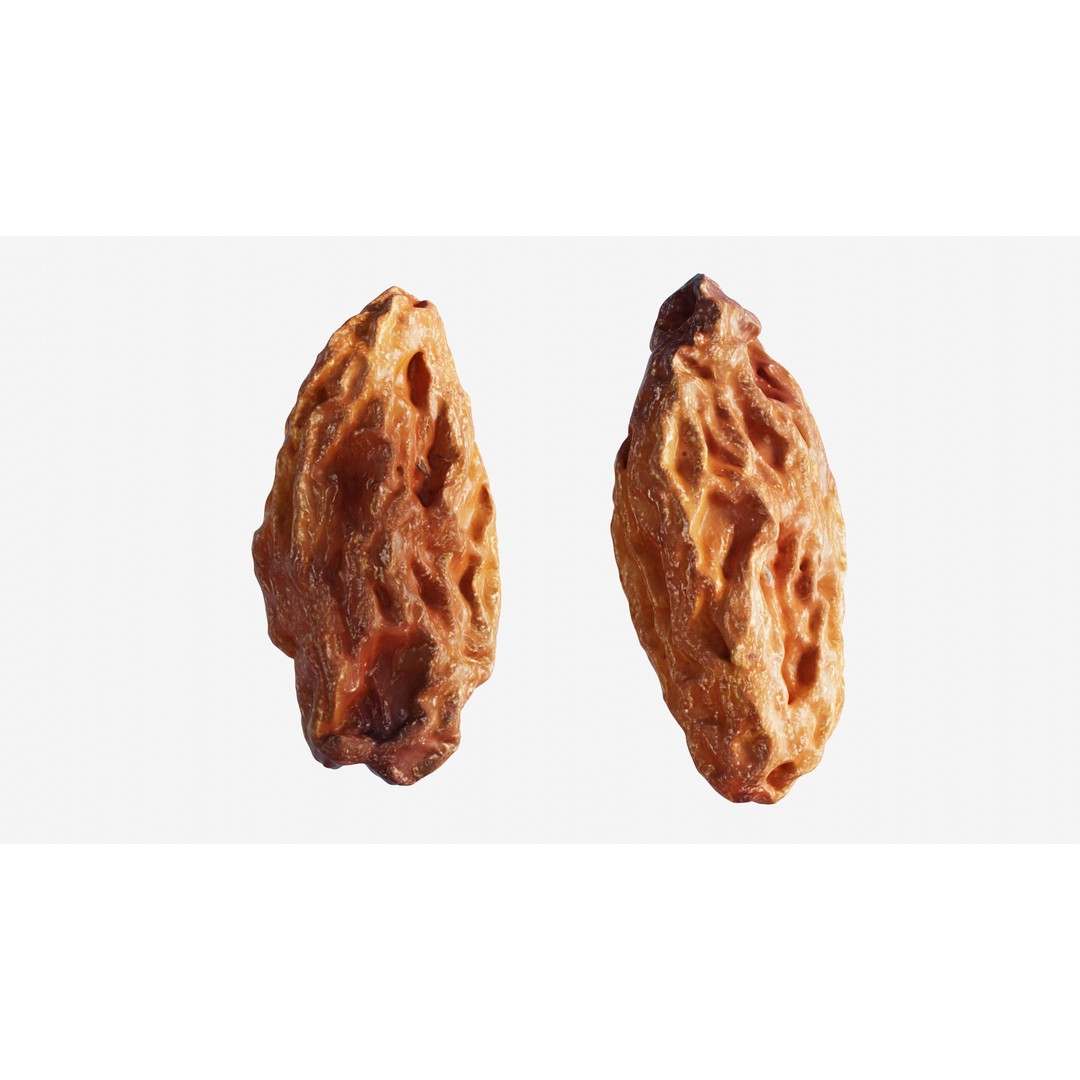 Dried Grape Raisin 3D Model – Low Poly Game Asset, FBX - View 11