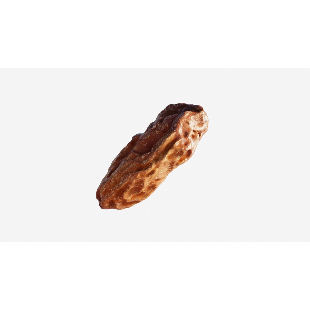 Dried Grape Raisin 3D Model – Low Poly Game Asset, FBX - View 13