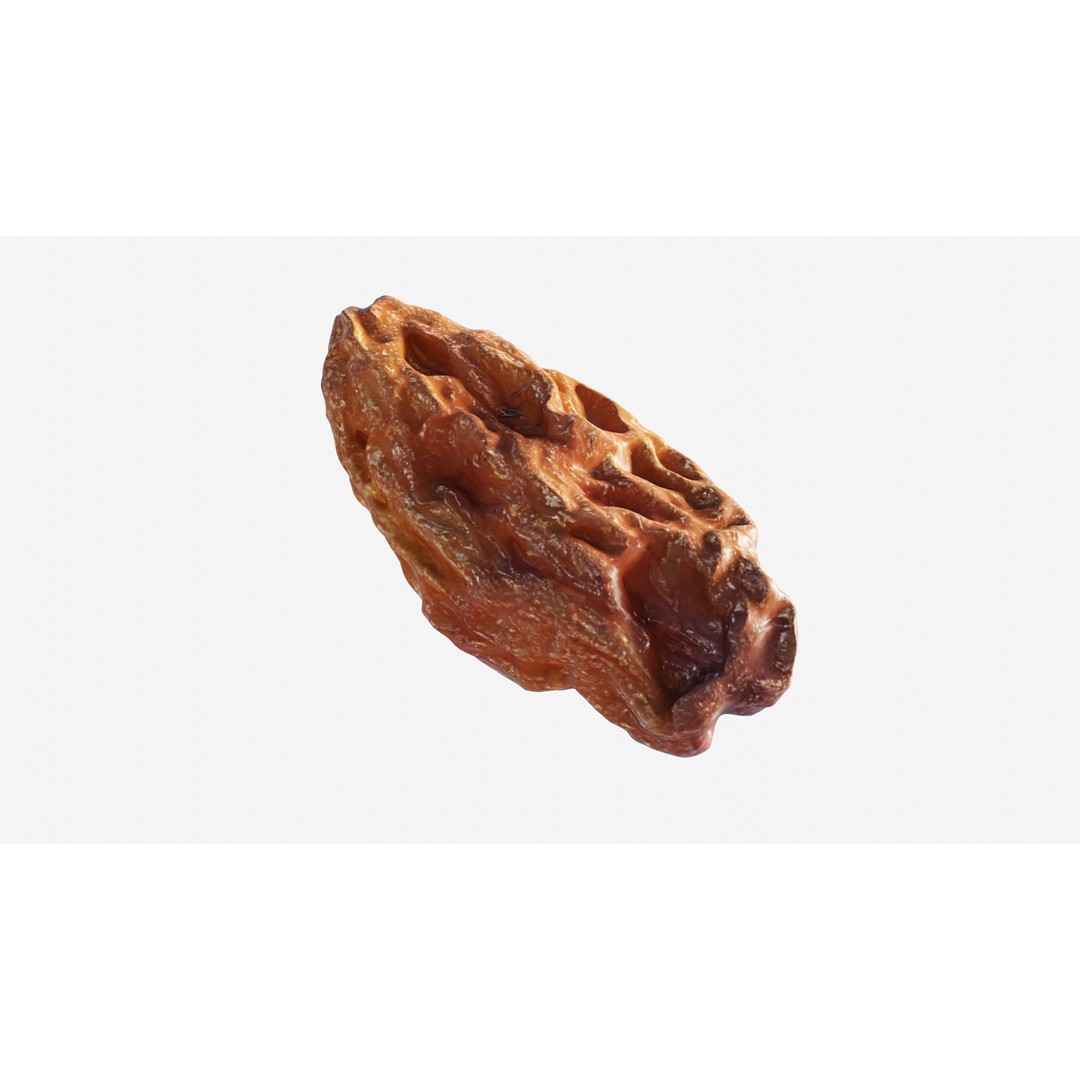 Dried Grape Raisin 3D Model – Low Poly Game Asset, FBX - View 14