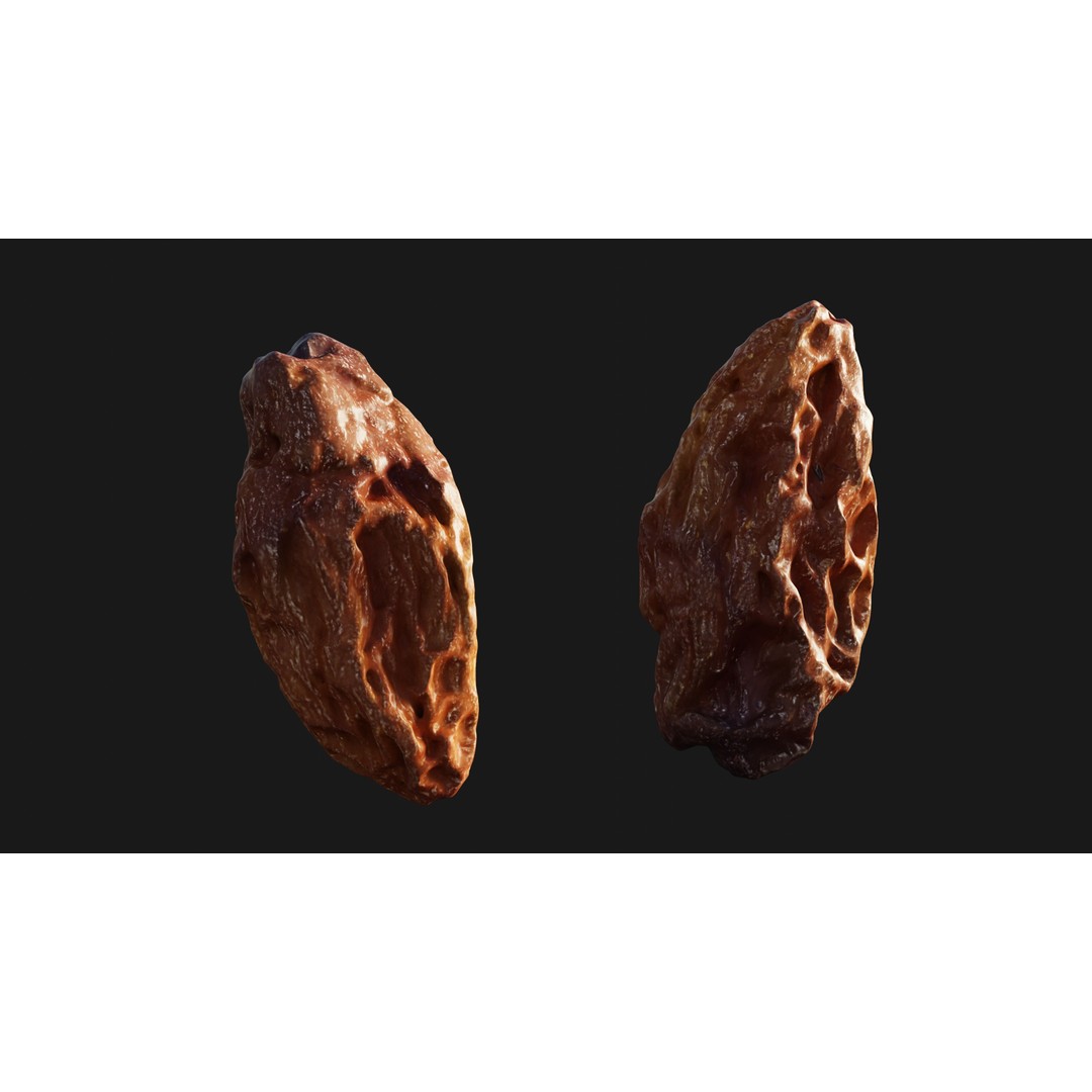 Dried Grape Raisin 3D Model – Low Poly Game Asset, FBX - View 15
