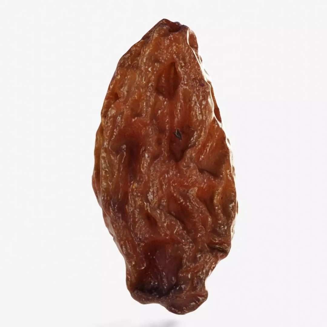 Dried Grape Raisin 3D Model – Low Poly Game Asset, FBX - View 2