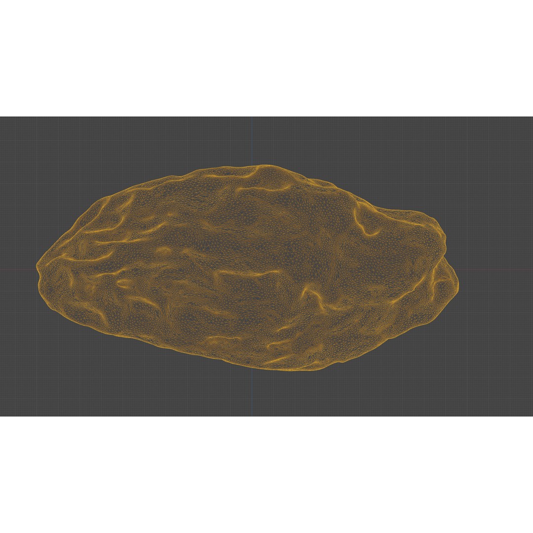 Dried Grape Raisin 3D Model – Low Poly Game Asset, FBX - View 20