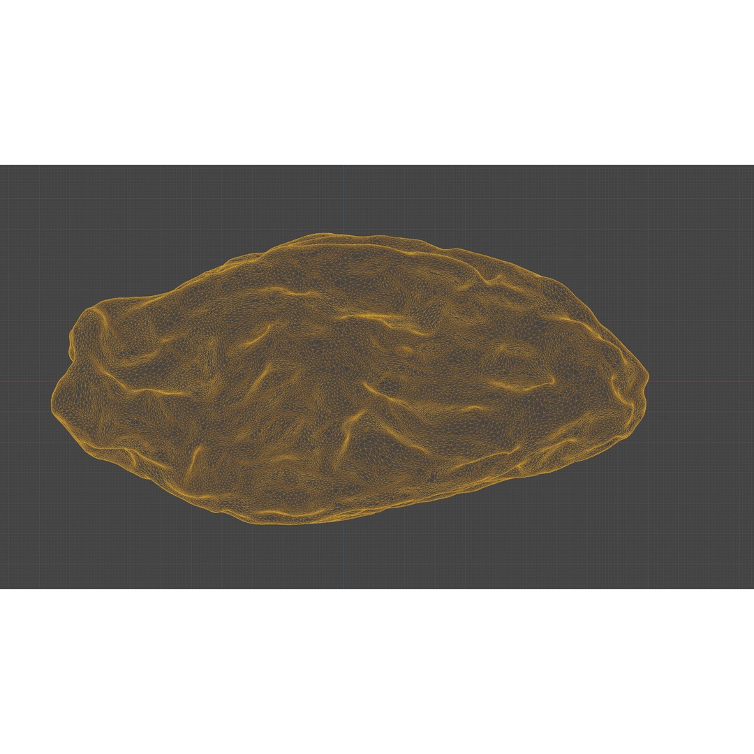 Dried Grape Raisin 3D Model – Low Poly Game Asset, FBX - View 21