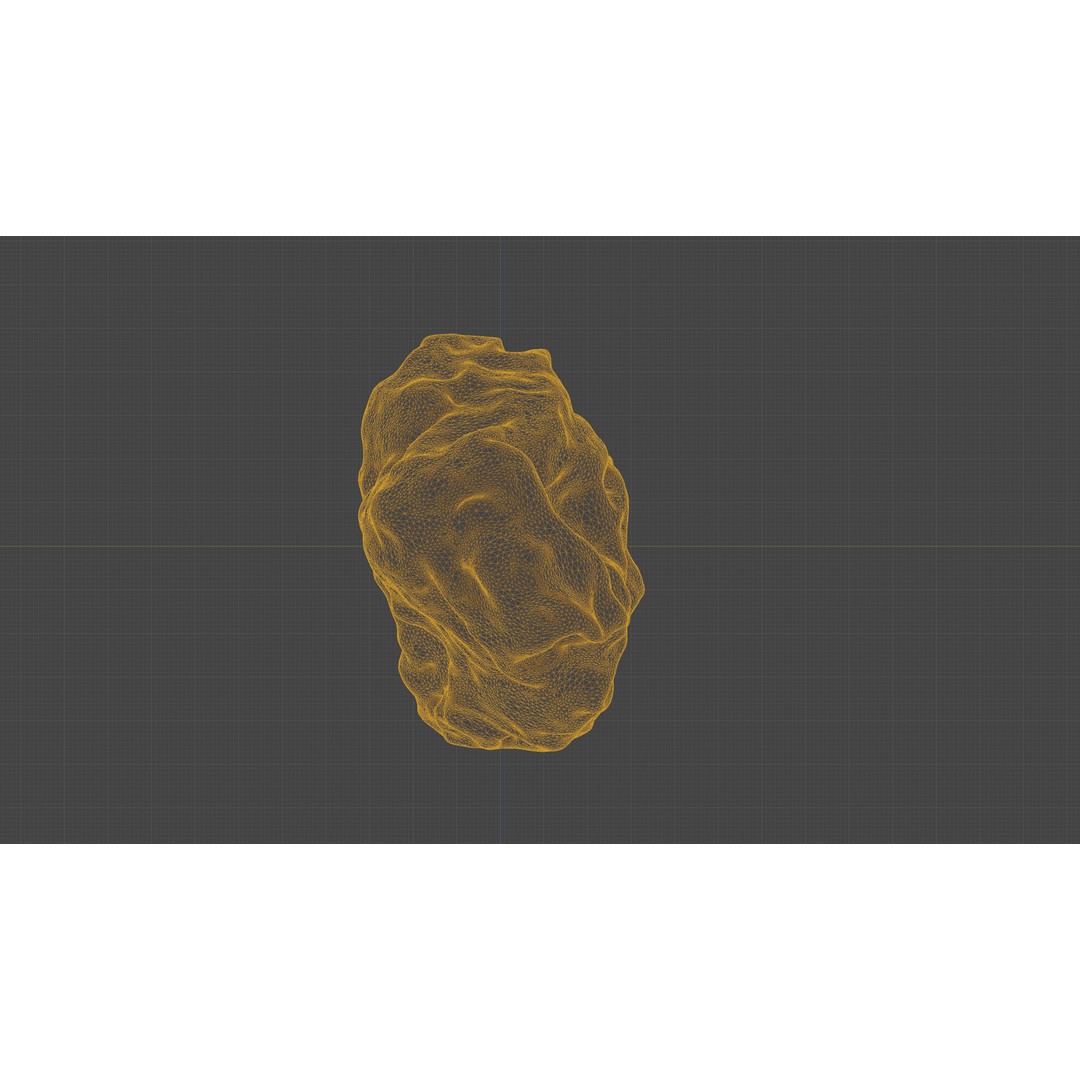 Dried Grape Raisin 3D Model – Low Poly Game Asset, FBX - View 22