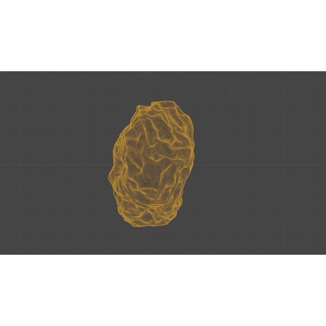 Dried Grape Raisin 3D Model – Low Poly Game Asset, FBX - View 23