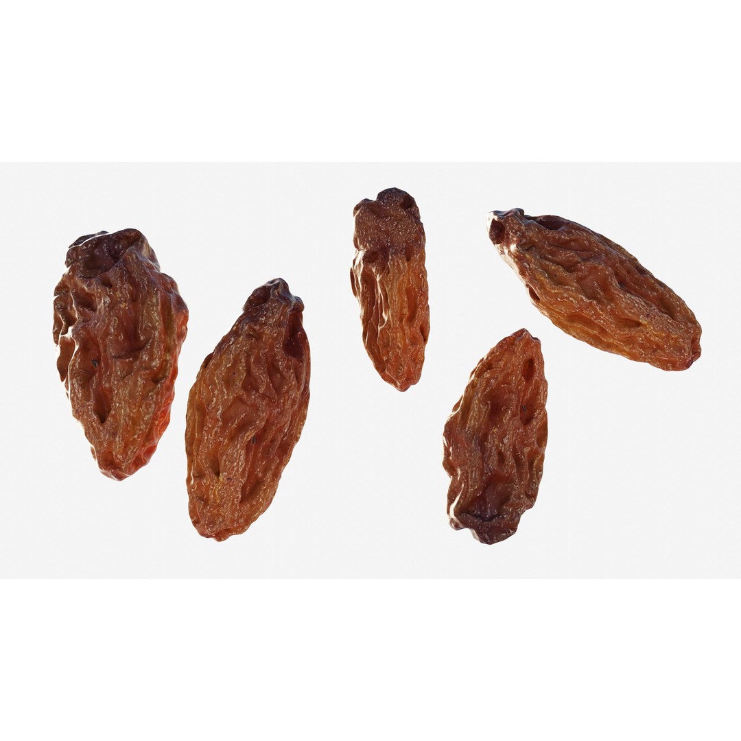Dried Grape Raisin 3D Model – Low Poly Game Asset, FBX - View 3