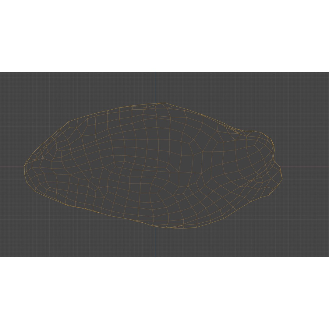 Dried Grape Raisin 3D Model – Low Poly Game Asset, FBX - View 4