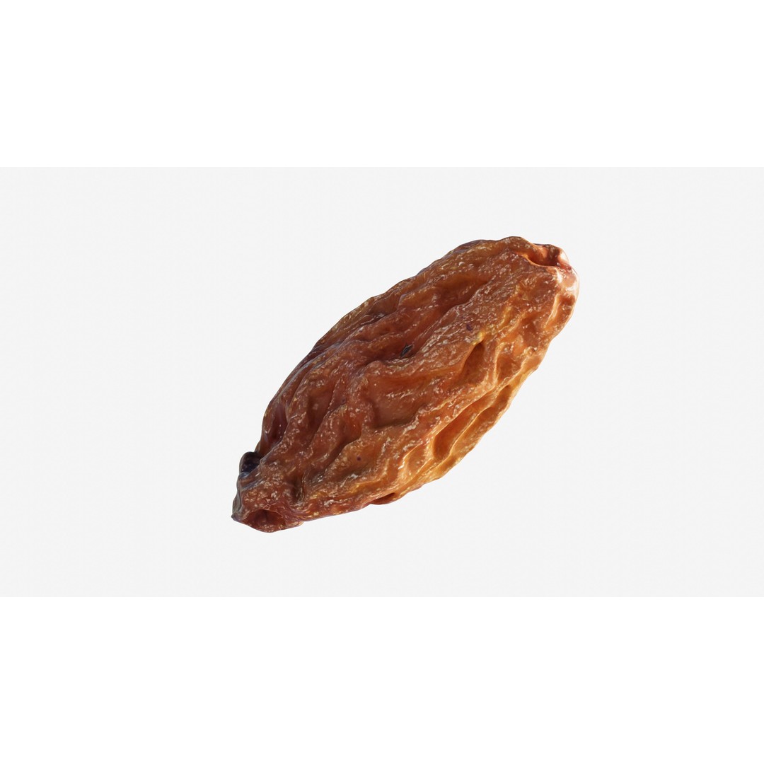 Dried Grape Raisin 3D Model – Low Poly Game Asset, FBX - View 8