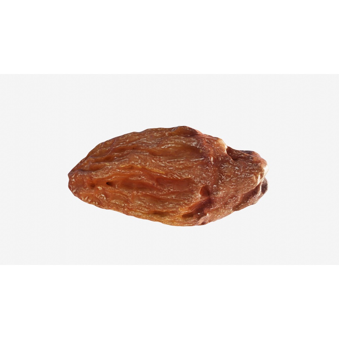 Dried Grape Raisin 3D Model – Low Poly Game Asset, FBX - View 9