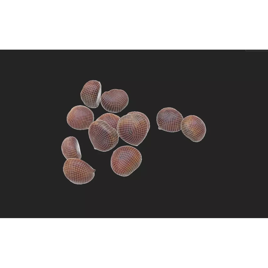 Chestnut 3D Model – Low Poly Game Asset, FBX, PBR Textures