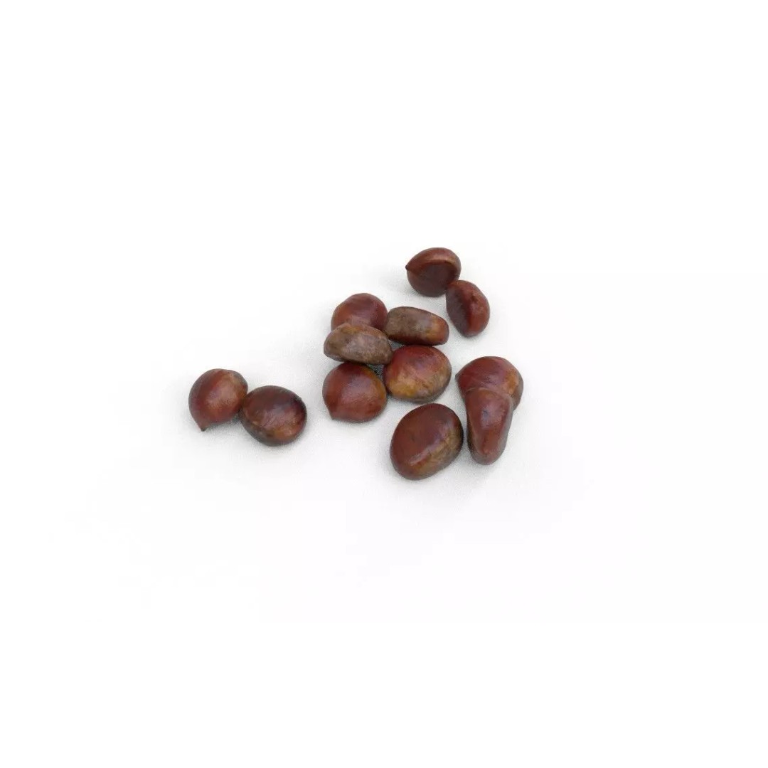 Chestnut 3D Model – Low Poly Game Asset, FBX, PBR Textures - View 2