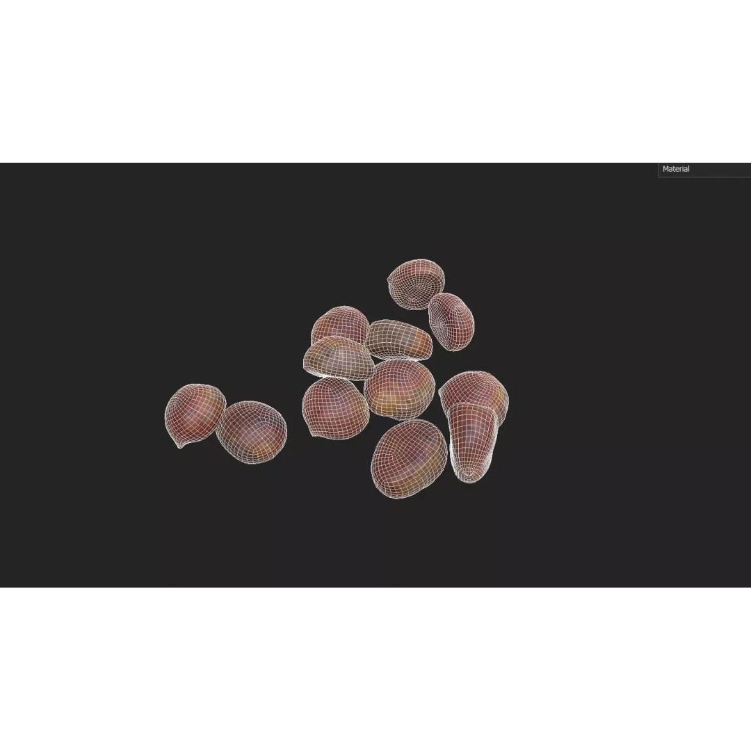 Chestnut 3D Model – Low Poly Game Asset, FBX, PBR Textures - View 3
